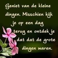 Geniet Vd Kleine Dingen