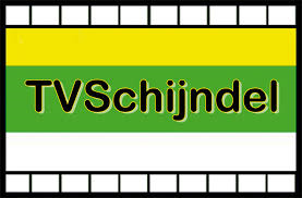 Logo Tv Schijndel